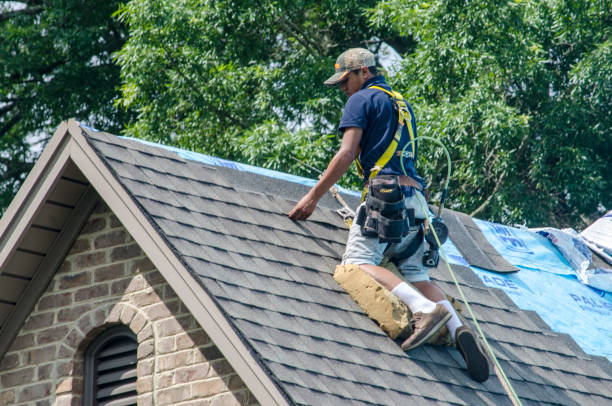 Best Roof Gutter Cleaning  in Boonville, MO